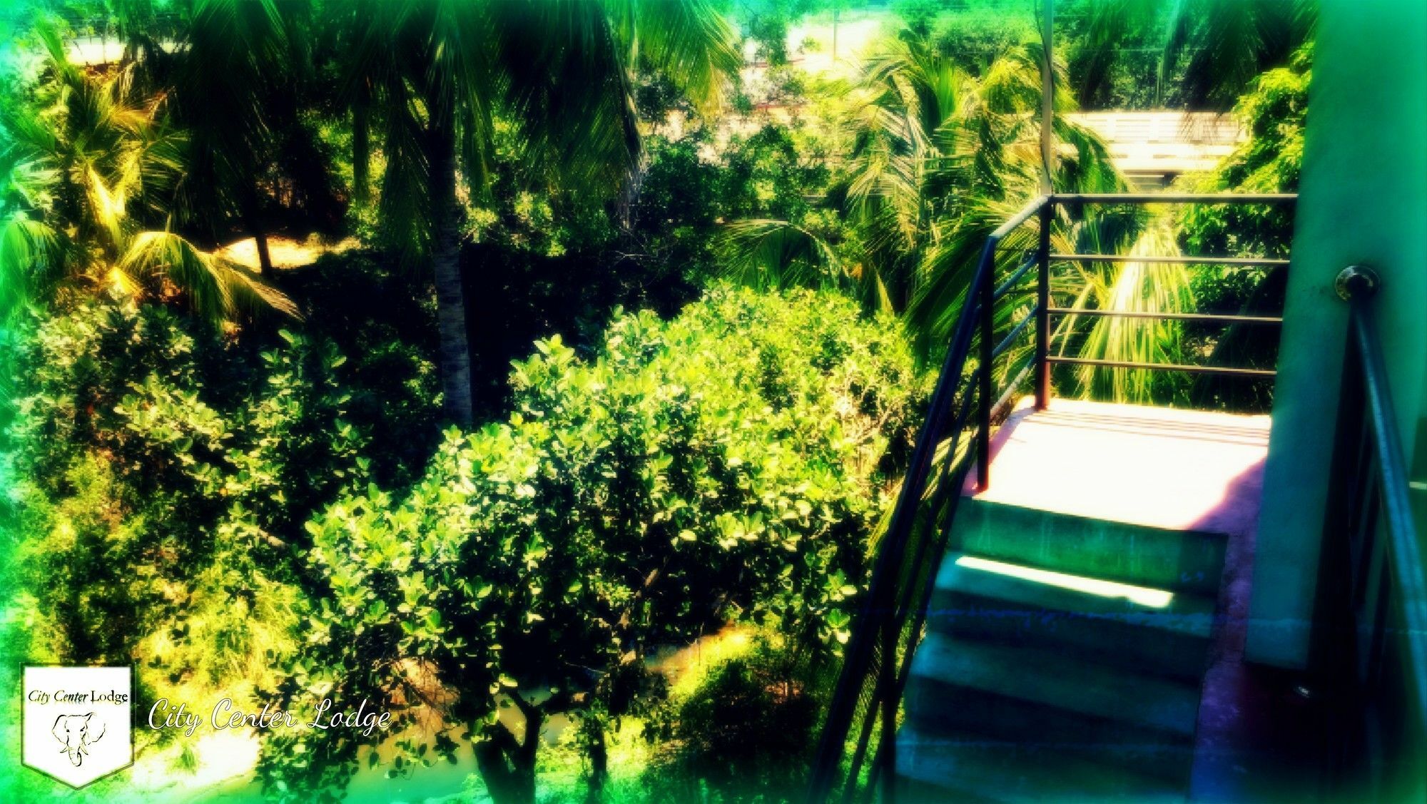 City Centre Lodge Ponnarankulama Buitenkant foto